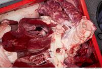 RAW meat pork 0135